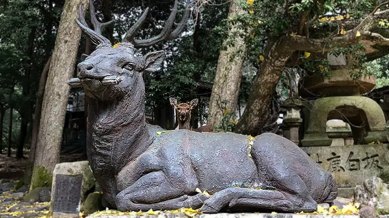 deer statue and deer in nara