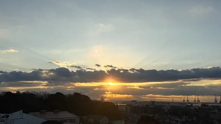 new year sun