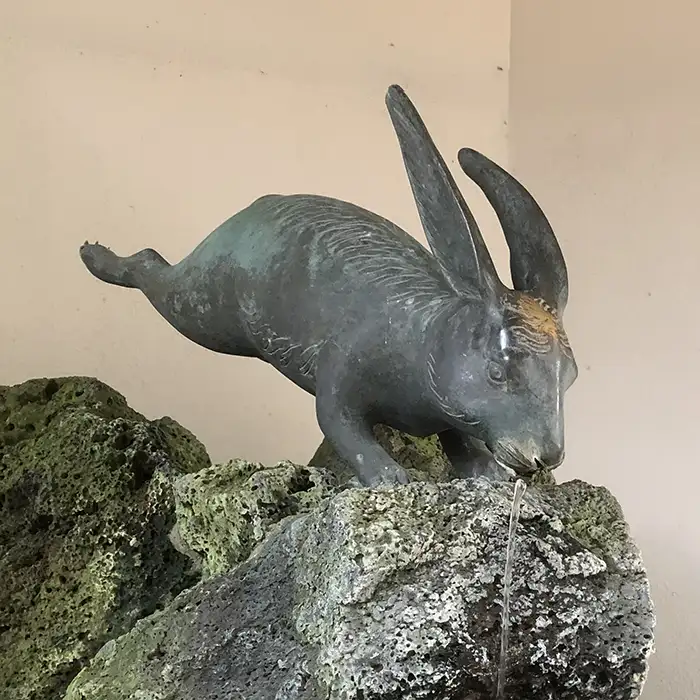 Rabbit at Uji jinja Shrine in Kyoto